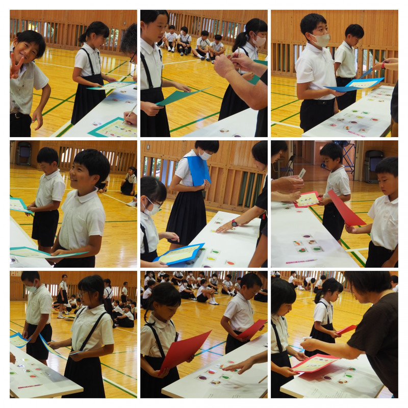 P1010012-COLLAGE