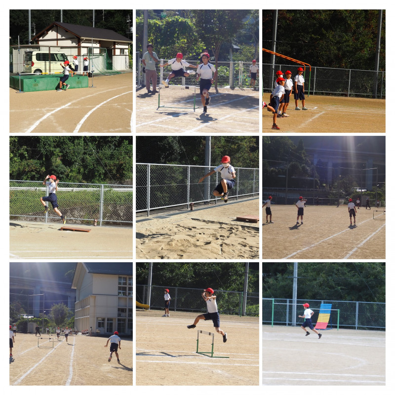 PA020009-COLLAGE
