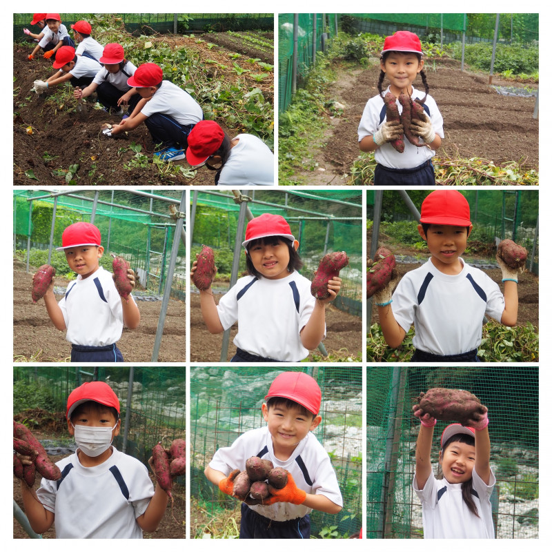 PA100002-COLLAGE