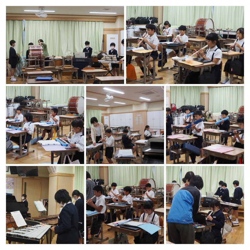 PA020009 (1)-COLLAGE
