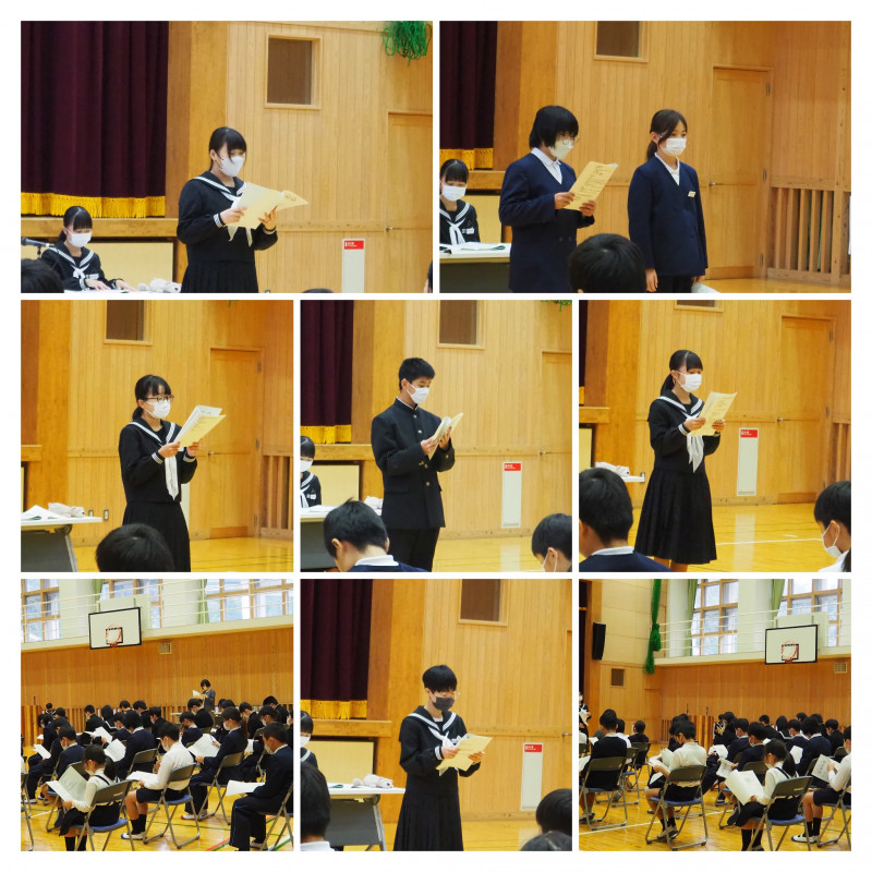 P1010019-COLLAGE