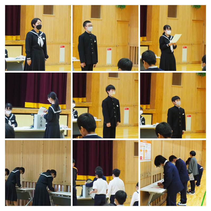 P1010031-COLLAGE (1)