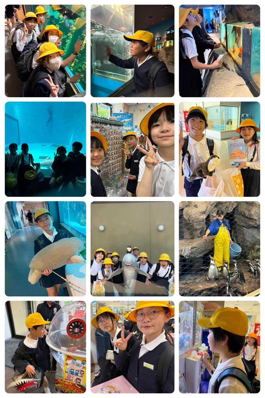 1747185759222_copy_1045x1567